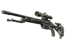 SSG 08