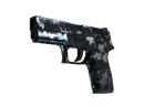 P250